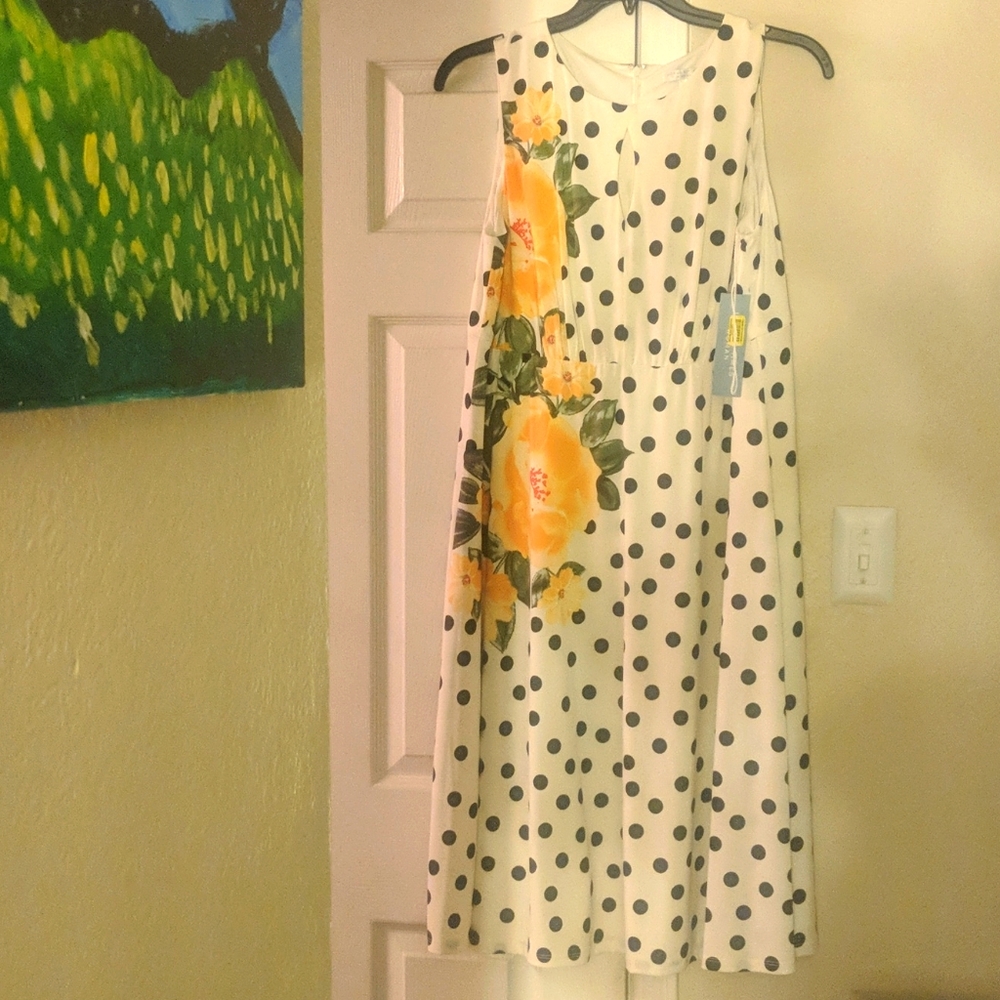 Size 14w dress